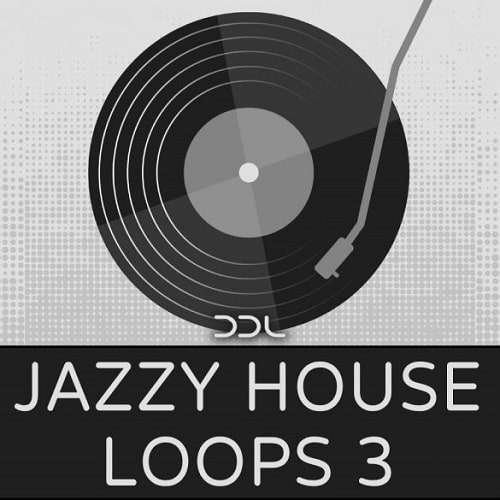 Deep Data Loops Jazzy House Loops 3 WAV