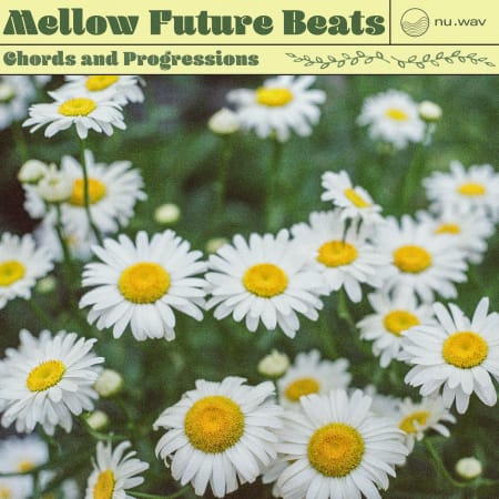 nu.wav Mellow Future Beats - Chords & Progressions WAV