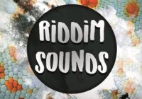 Riddim Sounds // 250+ Sounds, Serum Presets, Bass Hits & More