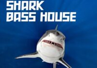 Shark Bass House // JAUZ Style Presets, Drums & Bass Loops