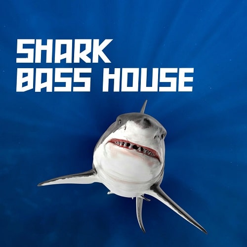 Shark Bass House // JAUZ Style Presets, Drums & Bass Loops