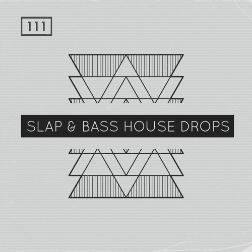  Slap & Bass House Drops