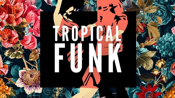 Basement Freaks presents Tropical Funk WAV