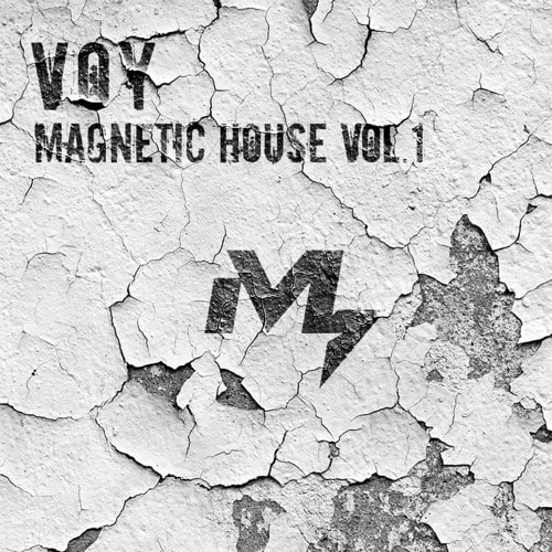 Sample Market VOY Magnetic House Vol.1 WAV