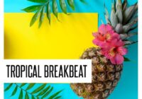 Concept Samples Tropical Breakbeat WAV