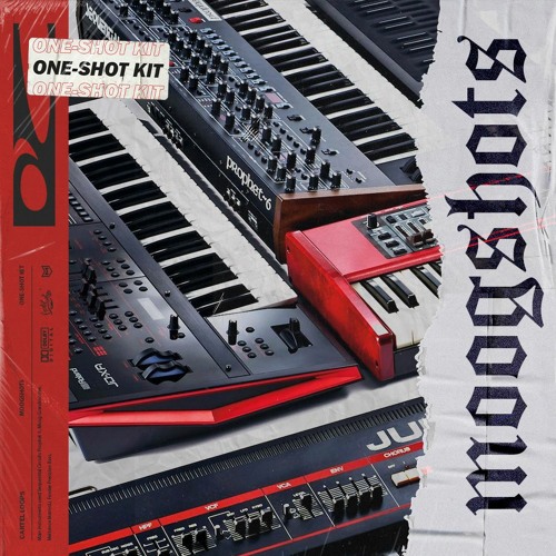 Cartel Loops Moog Shots (One-Shot Kit)