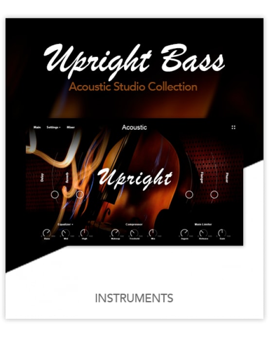 Muze Upright Bass KONTAKT