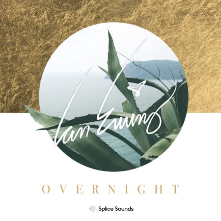 Ian Ewing Overnight Sample Pack WAV FXP