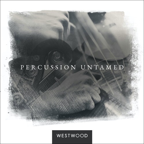 Westwood Instruments Percussion Untamed KONTAKT