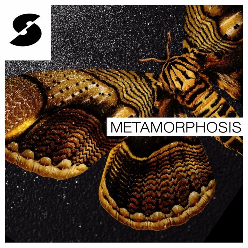 Samplephonics Metamorphosis MULTIFORMAT