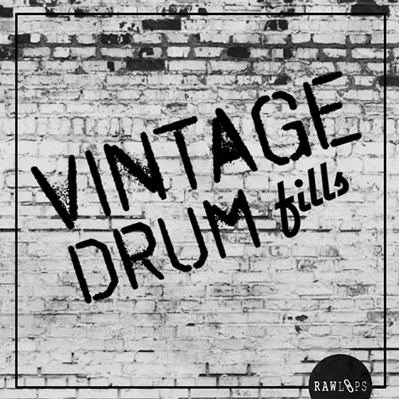 Raw Loops Vintage Drum Fills WAV