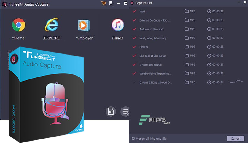TunesKit Audio Capture 2.6.0.33 WIN