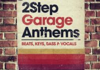 Connect D Audio 2Step Garage Anthems WAV