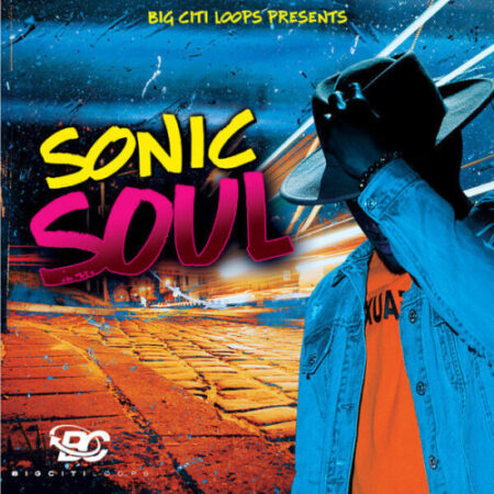 Big Citi Loops Sonic Soul WAV