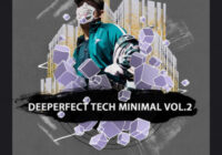 Deeperfect Records Deeperfect Tech-Minimal Vol.2 WAV