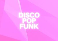 Diamond Sounds Disco Pop Funk WAV