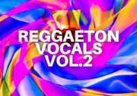 Diamond Sounds Reggaeton Vocals Vol.2 WAV