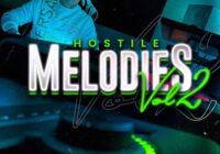 Empire Sound Kits Hostile Melodies Vol. 2 WAV