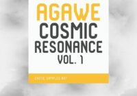 Exotic Refreshment Agawe Cosmic Resonance vol. 1 Sample Pack WAV