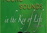 Feed Your Soul Music Found Sounds Vol. 3 Sounds in The Key of Life WAV