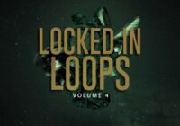 Highline Audio Locked In Loops Vol. 4 WAV