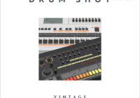 Kryptic Samples Drum Shot Vintage WAV