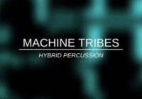 Lamprey Machine Tribes Hybrid Percussion KONTAKT