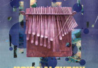 RARE Percussion Mbira Alchemy Vol.2 WAV