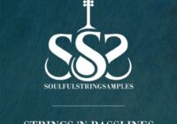 Soulful String Samples Sexy String N’Bass Lines WAV