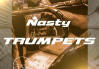 Steve Pageot Nasty Trumpets WAV