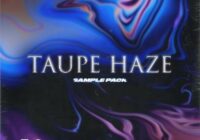 @duce.6x Taupe Haze Sample Pack MP3