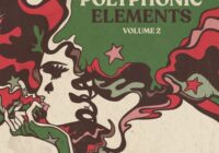 Polyphonic Music Library The Polyphonic Elements Vol. 2 WAV