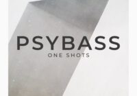 Zenhiser Psybass Oneshots [440+ Psy Drum, FX, Synth Sounds] WAV