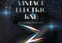 Zero-G Vintage Electric RnB MULTIFORMAT