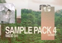 Ramzoid Sample Pack 4 WAV