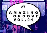 About Noise Amazing Groove Vol.01 WAV