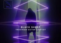 Black Sheep Guitar Loop Kit WAV