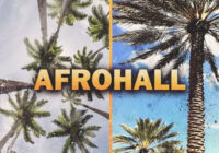 Cartel Loops Afrohall WAV MIDI