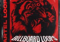 Cartel Loops Billboard WAV