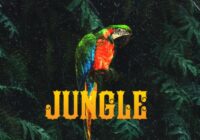 Cartel Loops Jungle Part 1 WAV MIDI