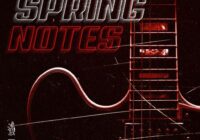 Cartel Loops Spring Notes WAV