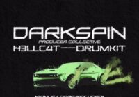 DARKSPIN Drum Kit Vol.1 WAV FLP