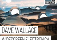 Looptone Dave Wallace Widescreen Elect