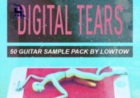 “Digital Tears” 50 Guitar Sample Pack by LOWTOW WAV