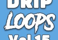 DiyMusicBiz Drip Loops Vol 15 WAV