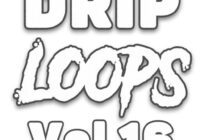 DiyMusicBiz Drip Loops Vol 16 WAV