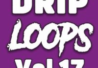 DiyMusicBiz Drip Loops Vol 17 WAV