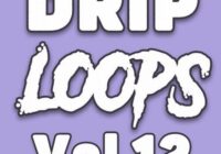 DiyMusicBiz Drip Loops Vol.12 WAV