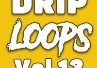 DiyMusicBiz Drip Loops Vol.13 WAV