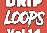 DiyMusicBiz Drip Loops Vol.14 WAV